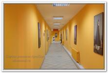 Ремонт офисов в коридоре в желтых тонах